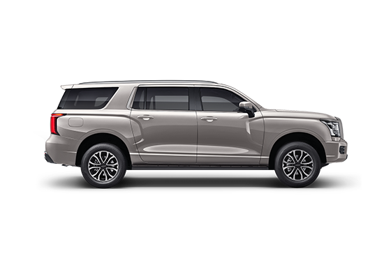 HAVAL PRO H5