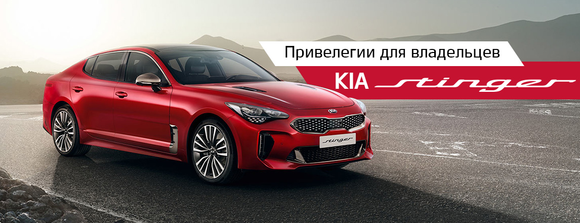 Favorit motors kia мкад