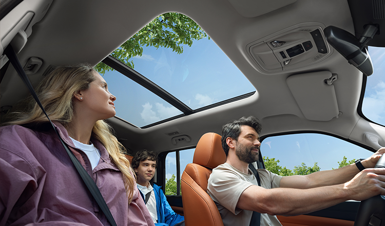 Интерьер Haval_pro H91 № 5